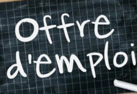 Offres d'emploi 