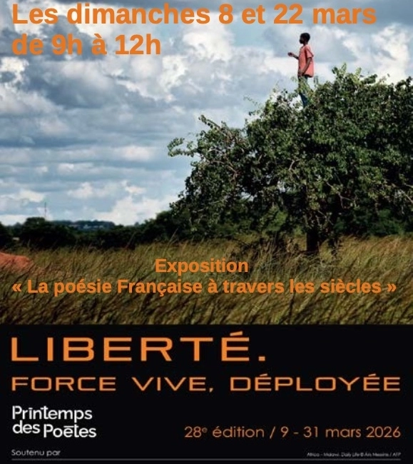 Bibliothèque ouverte