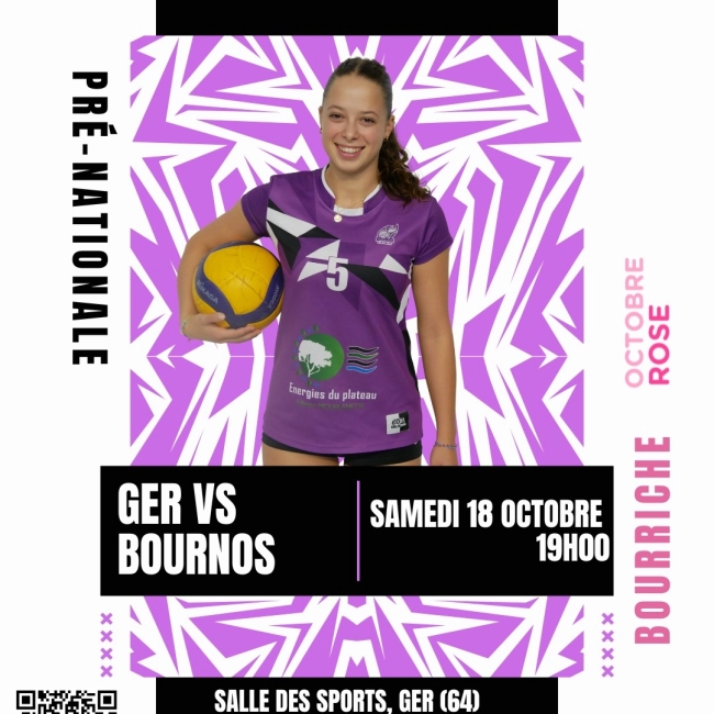 FR GER VOLLEY-BALL
