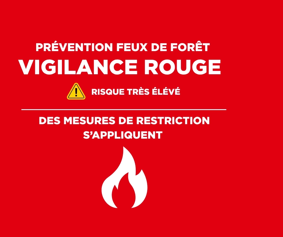Actualite 