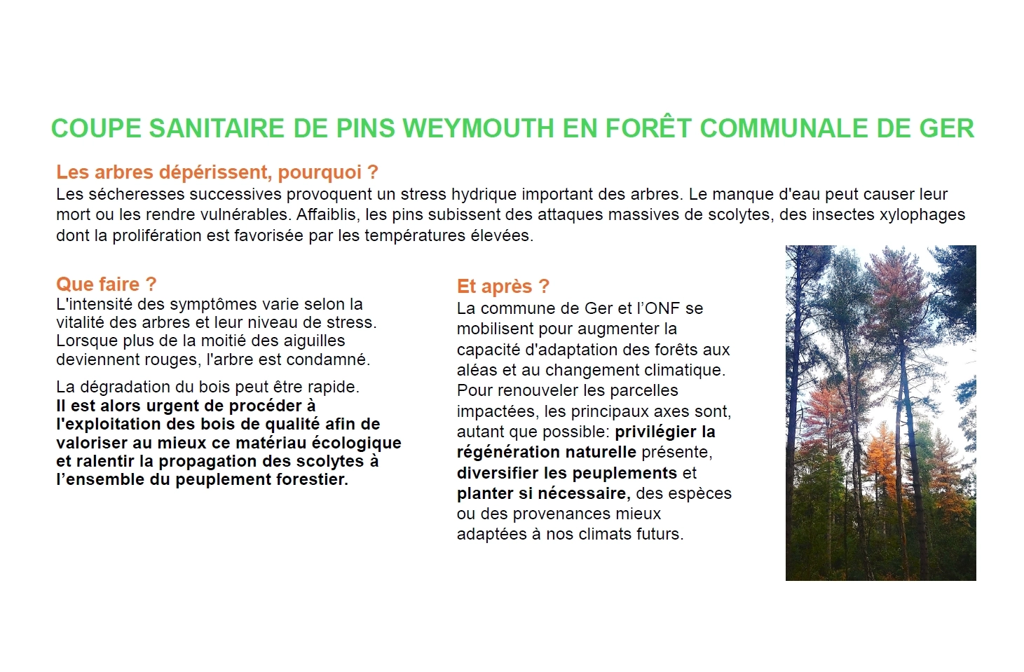 Actualite 