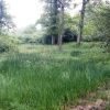 CHEMIN PEDESTRE